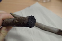 Konce řízku ošetřené práškem z dřevěného uhlí