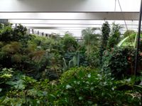 Pohled z horního patra na skleník Biosphere (2013-10-17)